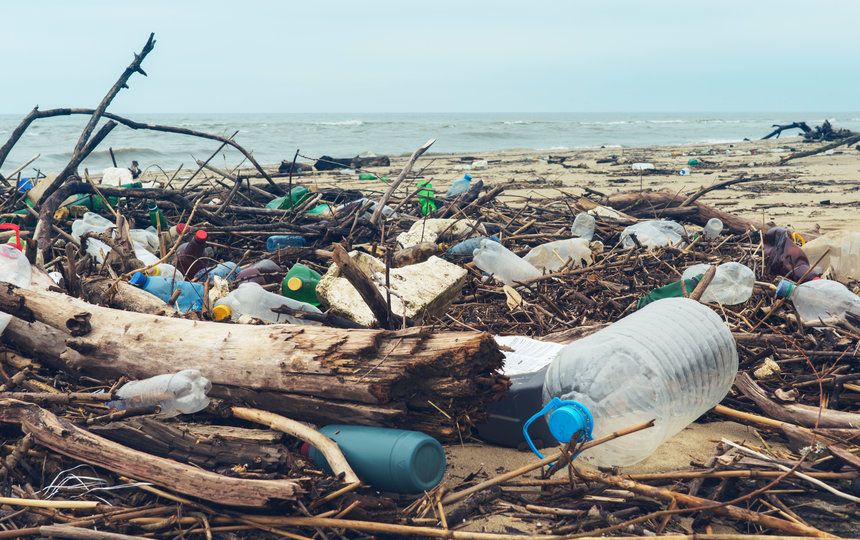 A variety of plastic bottles washed up onto a beach covered with driftwood.