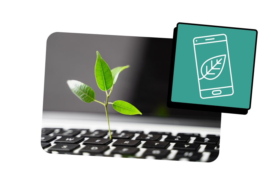 A small leafy plant sprouting out of a laptop keyboard.