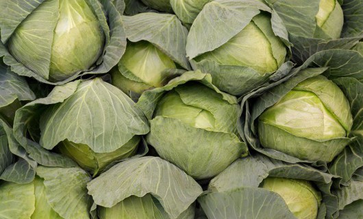 Image for In the news: Cabbage killing cancer, salt not so bad and Google tracking us