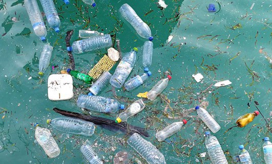 Bottles and other plastic waste floating in polluted waters.