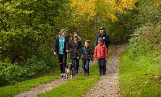 A family walking together through the woods.