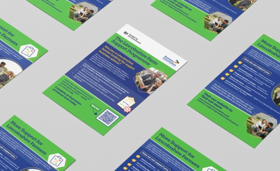 Image for Business Lincolnshire and Social Change: A Partnership in Action