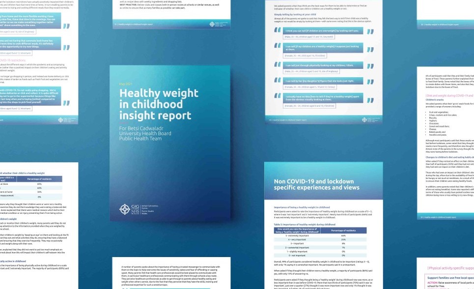 Image for Healthy Weight in Childhood across North Wales