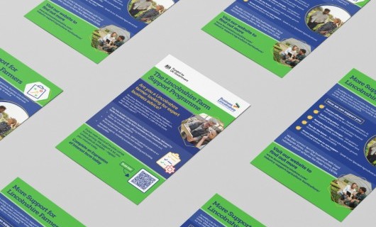 Image for Promoting Lifelong Learning with 2aspire